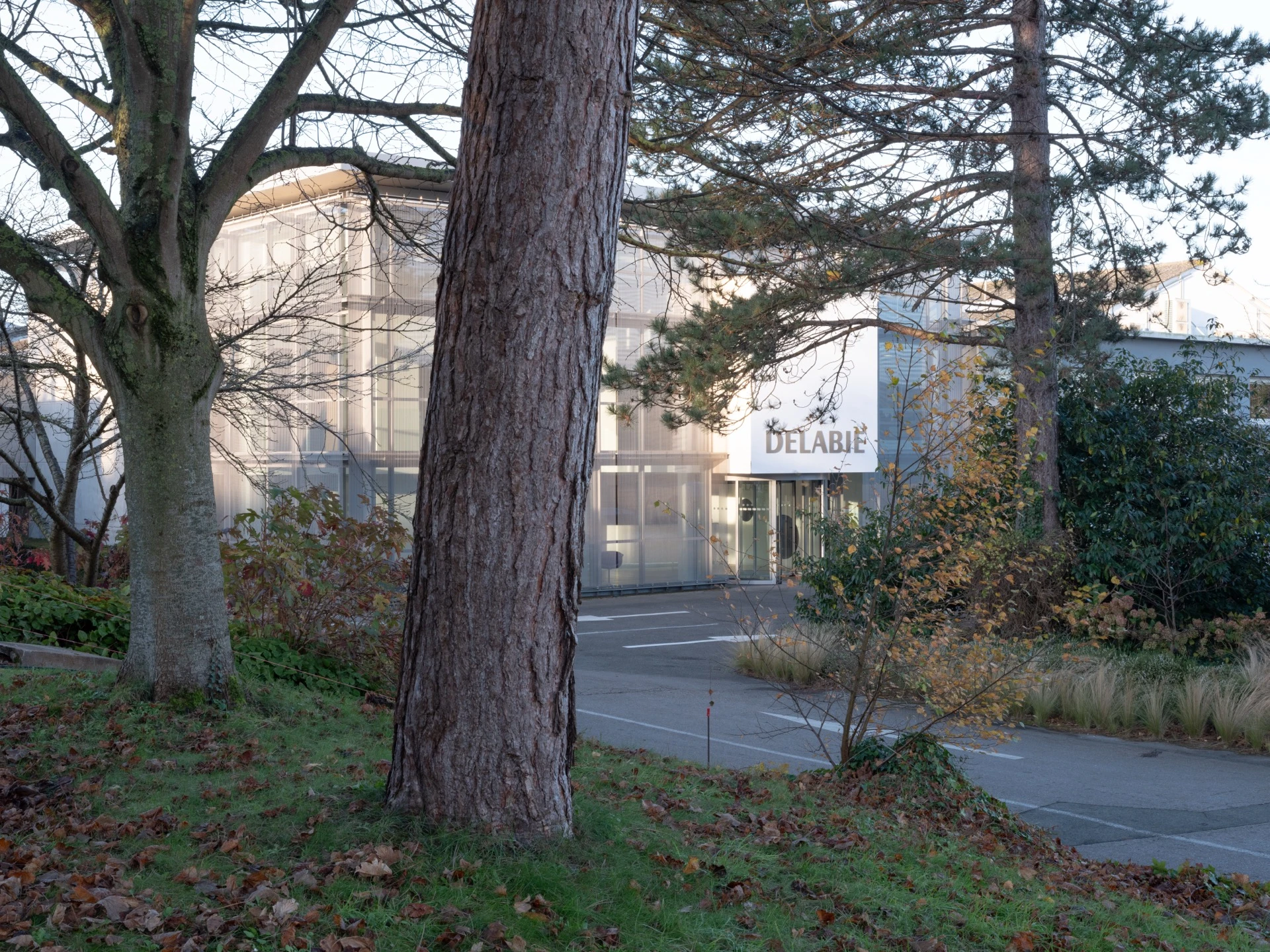 Delabie (C13N)